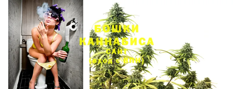 наркотики  Николаевск-на-Амуре  Бошки марихуана Ganja 